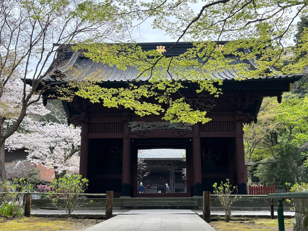 f:id:sayuta:20250413155607j:image f:id:sayuta:20250413155607j:image