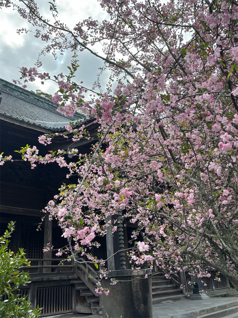 f:id:sayuta:20250413155615j:image f:id:sayuta:20250413155615j:image