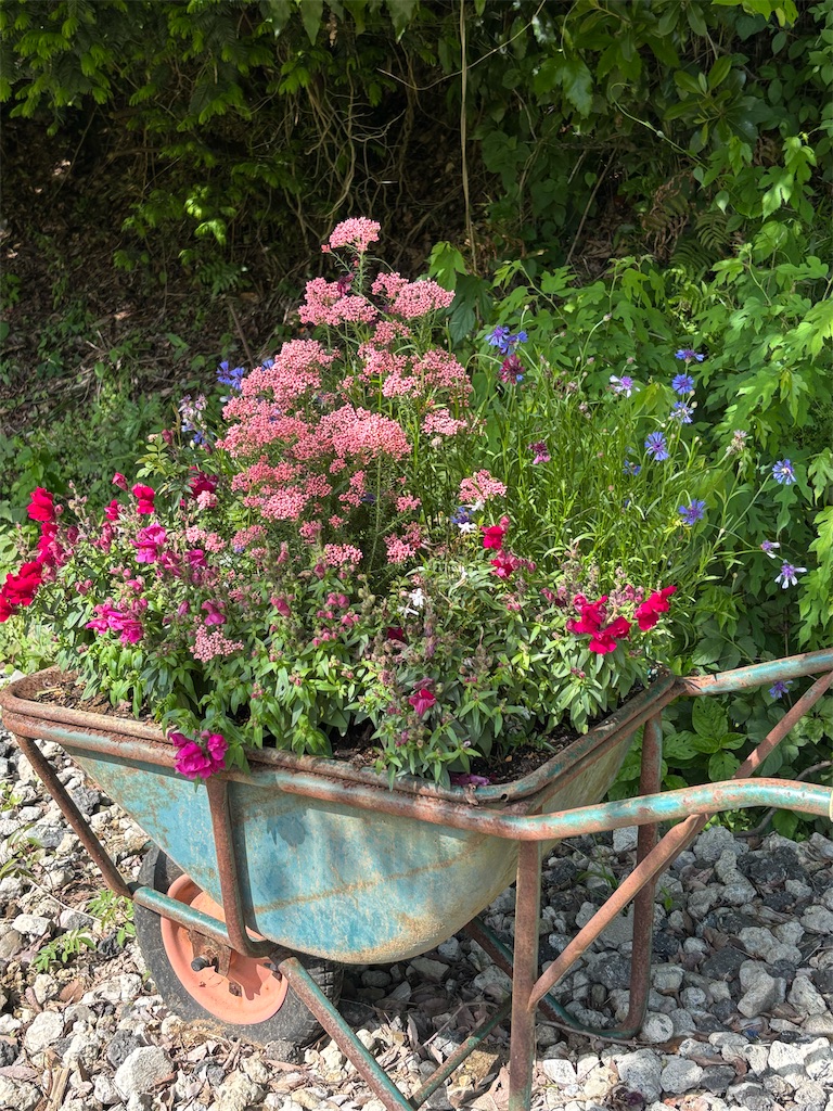 f:id:sayuta:20250506092616j:image