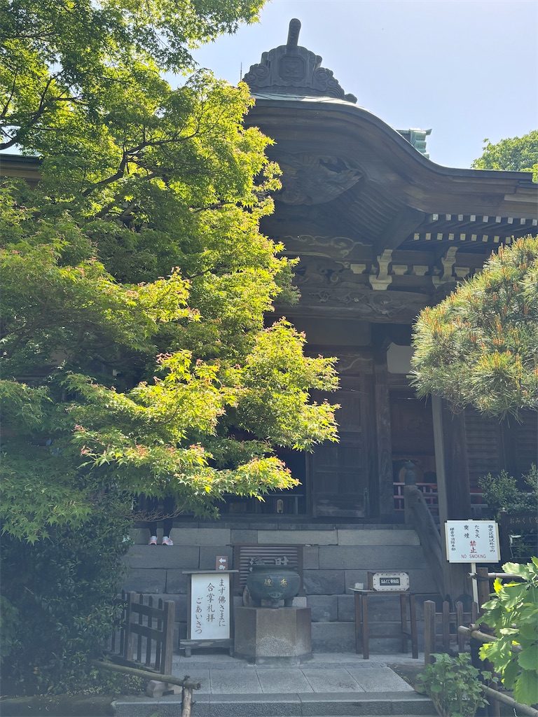 f:id:sayuta:20250512154526j:image