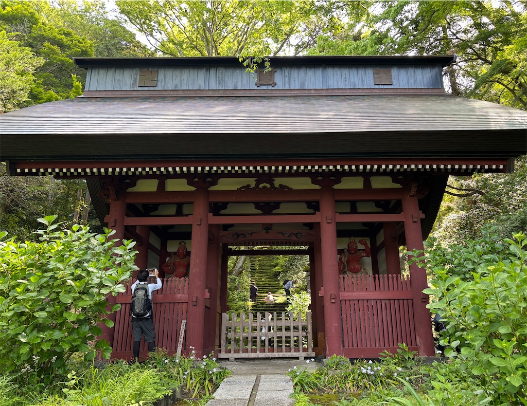 f:id:sayuta:20250512154529j:image