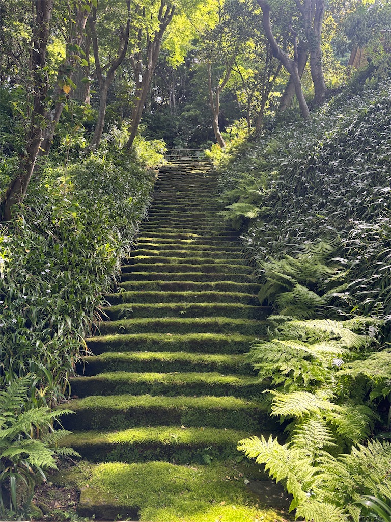 f:id:sayuta:20250512154534j:image