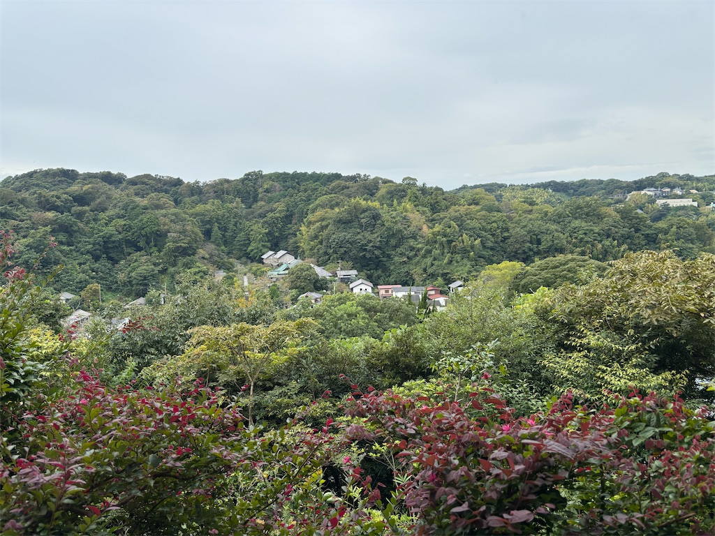 f:id:sayuta:20251008164648j:image