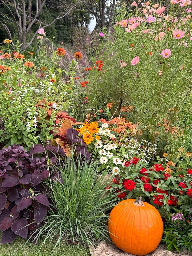 f:id:sayuta:20251020200352j:image f:id:sayuta:20251020200352j:image