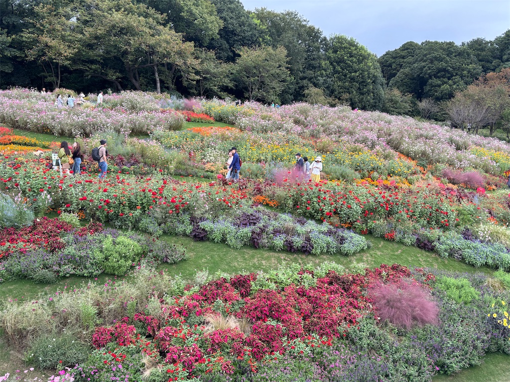 f:id:sayuta:20251020200357j:image f:id:sayuta:20251020200357j:image