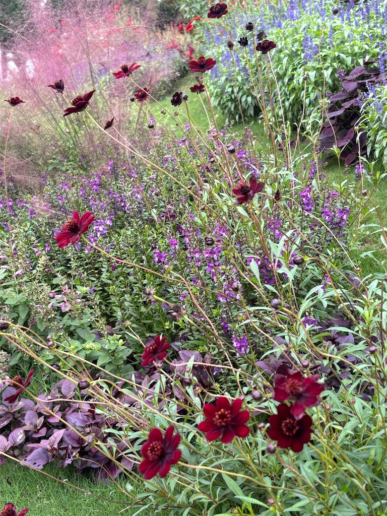 f:id:sayuta:20251020200417j:image f:id:sayuta:20251020200417j:image