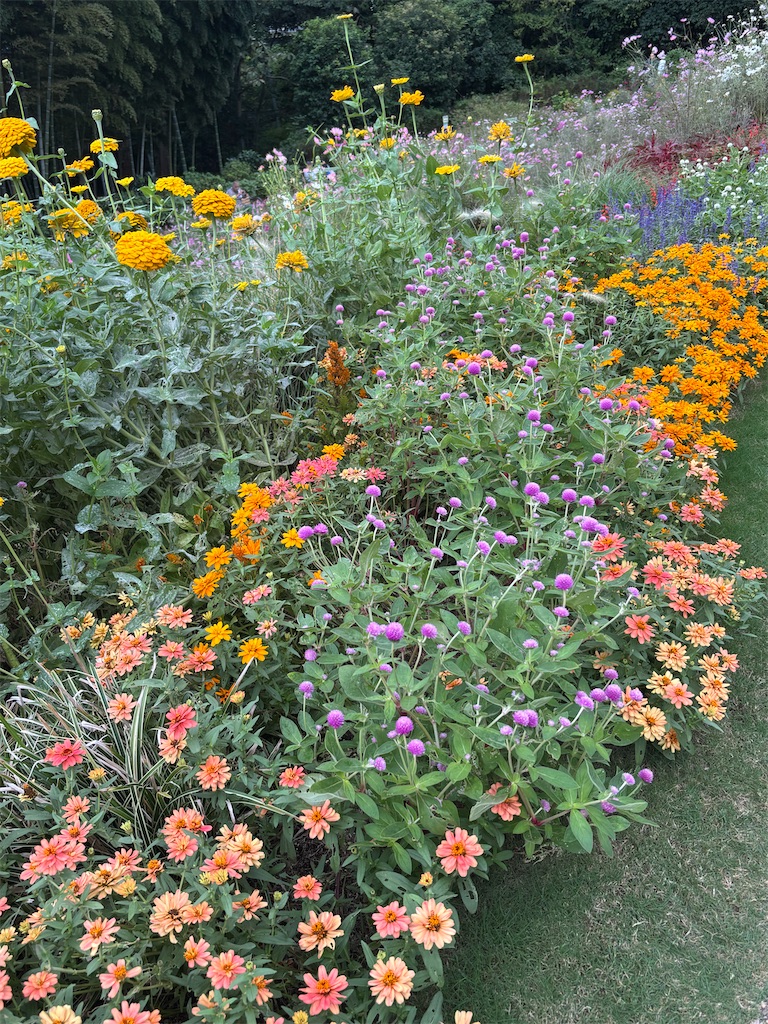 f:id:sayuta:20251020200428j:image f:id:sayuta:20251020200428j:image