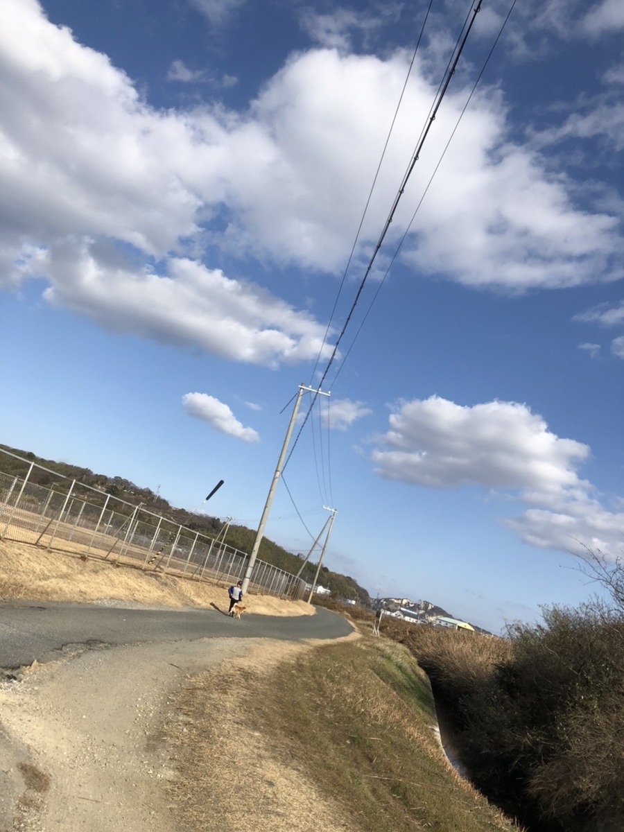 f:id:sayuzotjp:20210108010927j:plain