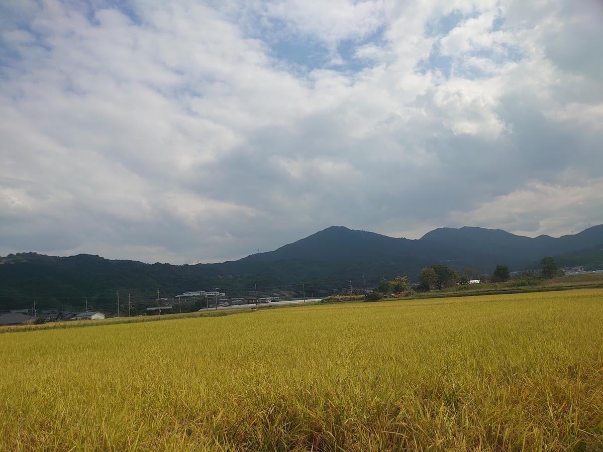 f:id:sayzno95:20211008201427j:plain