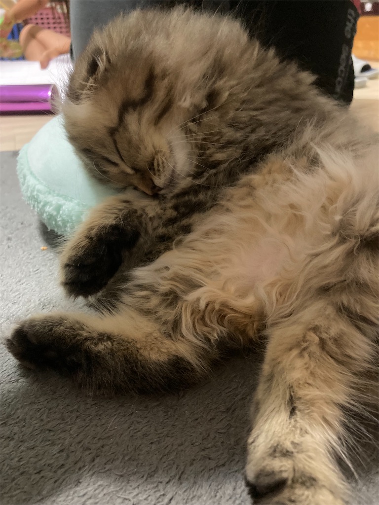 f:id:sazabi001:20220612071638j:image