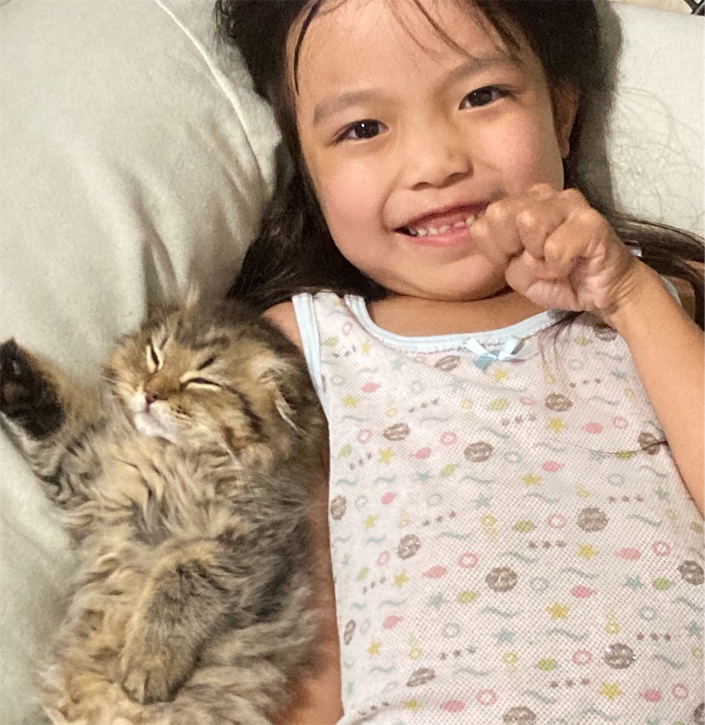 f:id:sazabi001:20220618182636j:image