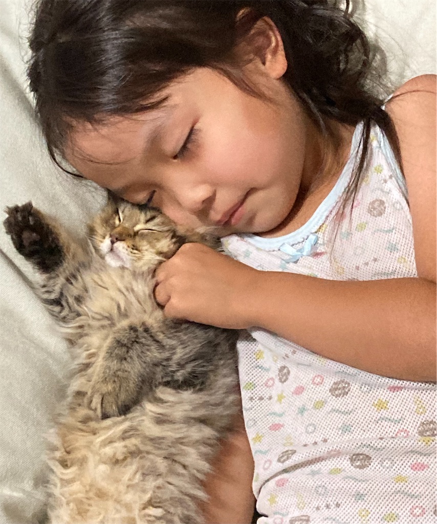 f:id:sazabi001:20220618182930j:image