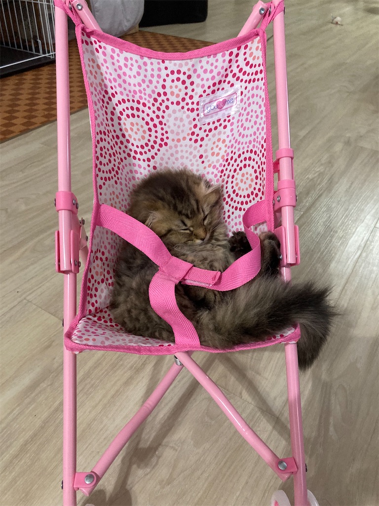 f:id:sazabi001:20220620085153j:image