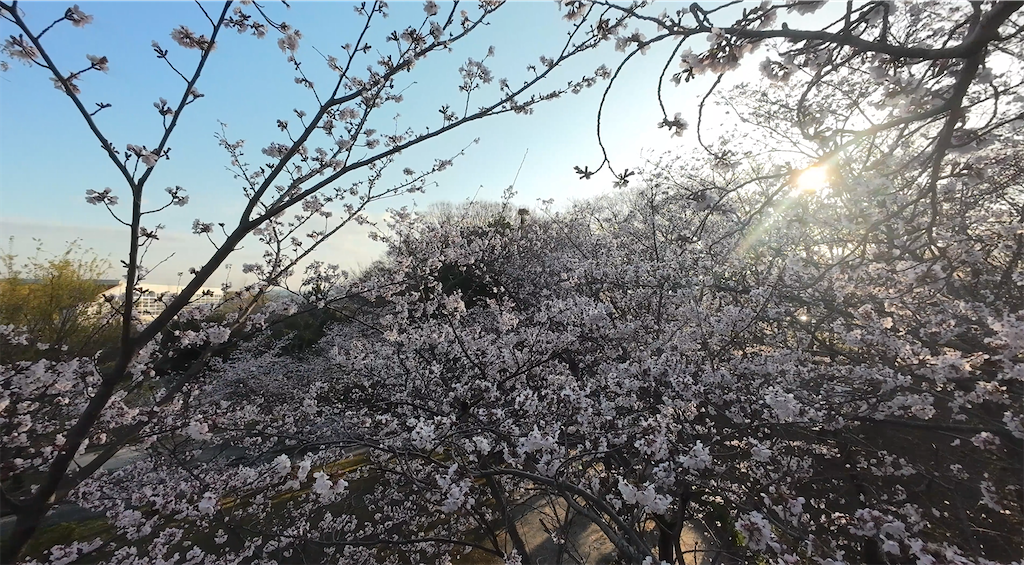 f:id:sazabi001:20260327175518p:image f:id:sazabi001:20260327175518p:image