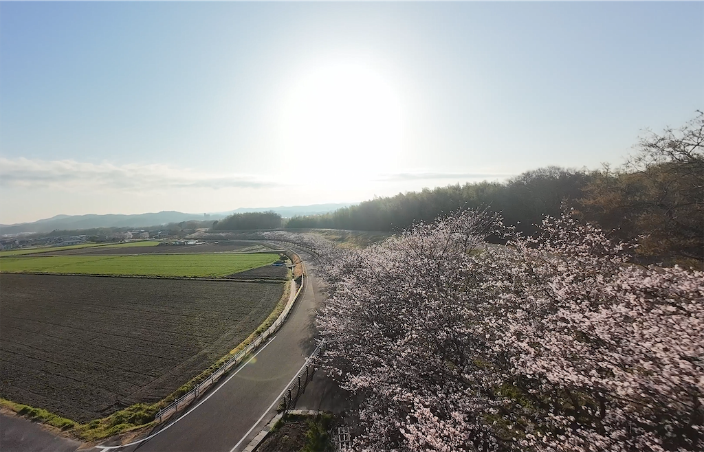 f:id:sazabi001:20260327175523p:image f:id:sazabi001:20260327175523p:image
