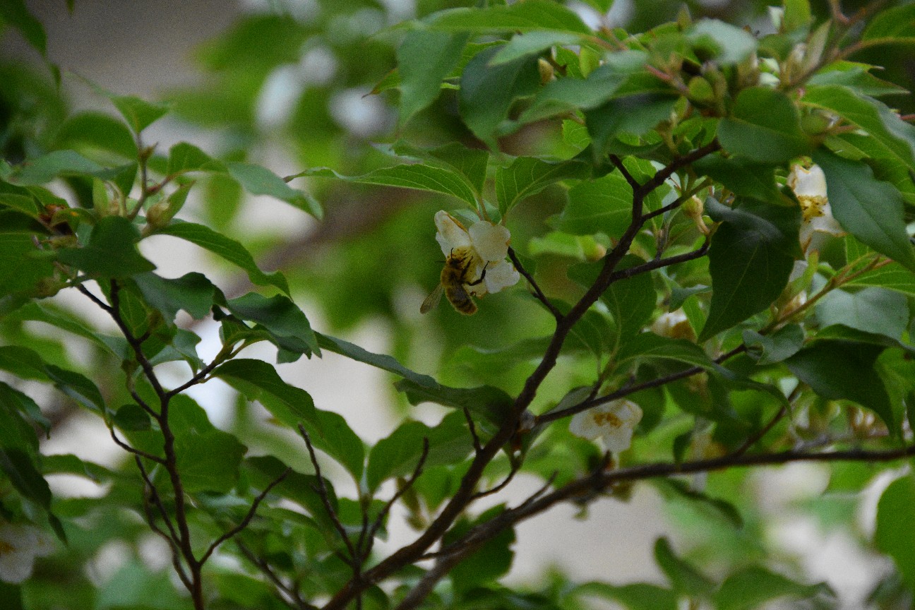 f:id:sazanami0:20190708021358j:image f:id:sazanami0:20190708021358j:image