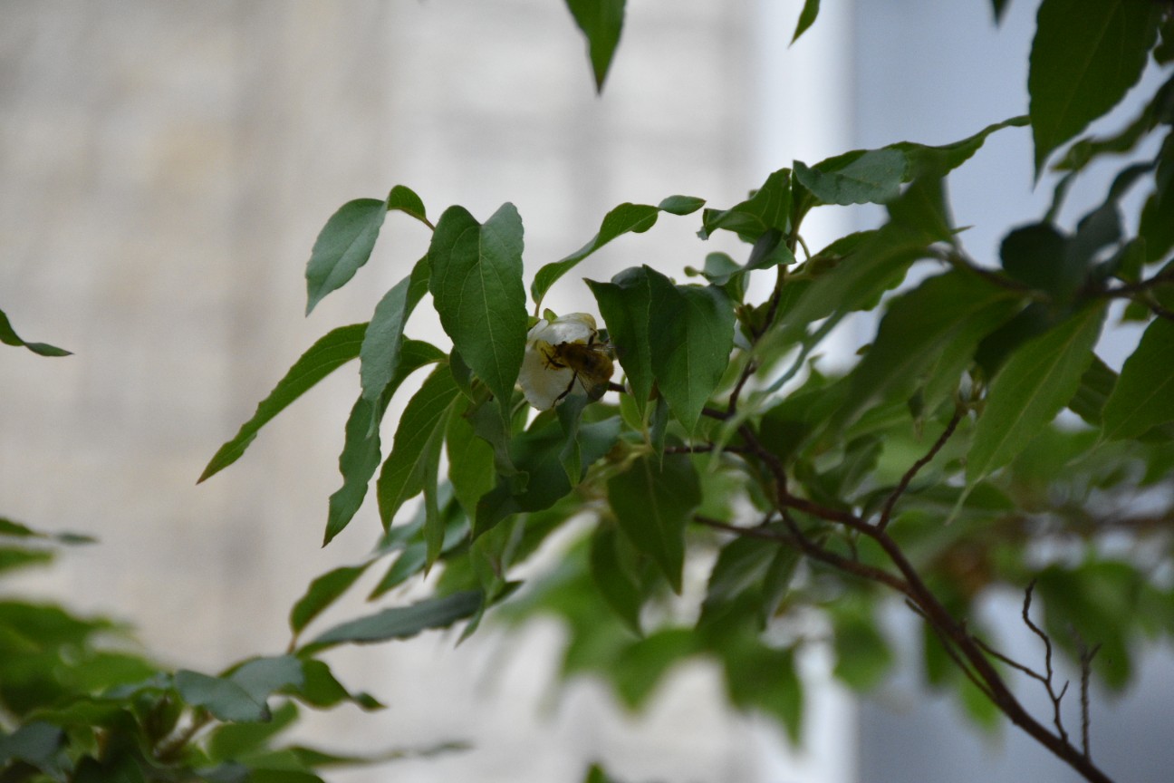 f:id:sazanami0:20190708021513j:image f:id:sazanami0:20190708021513j:image