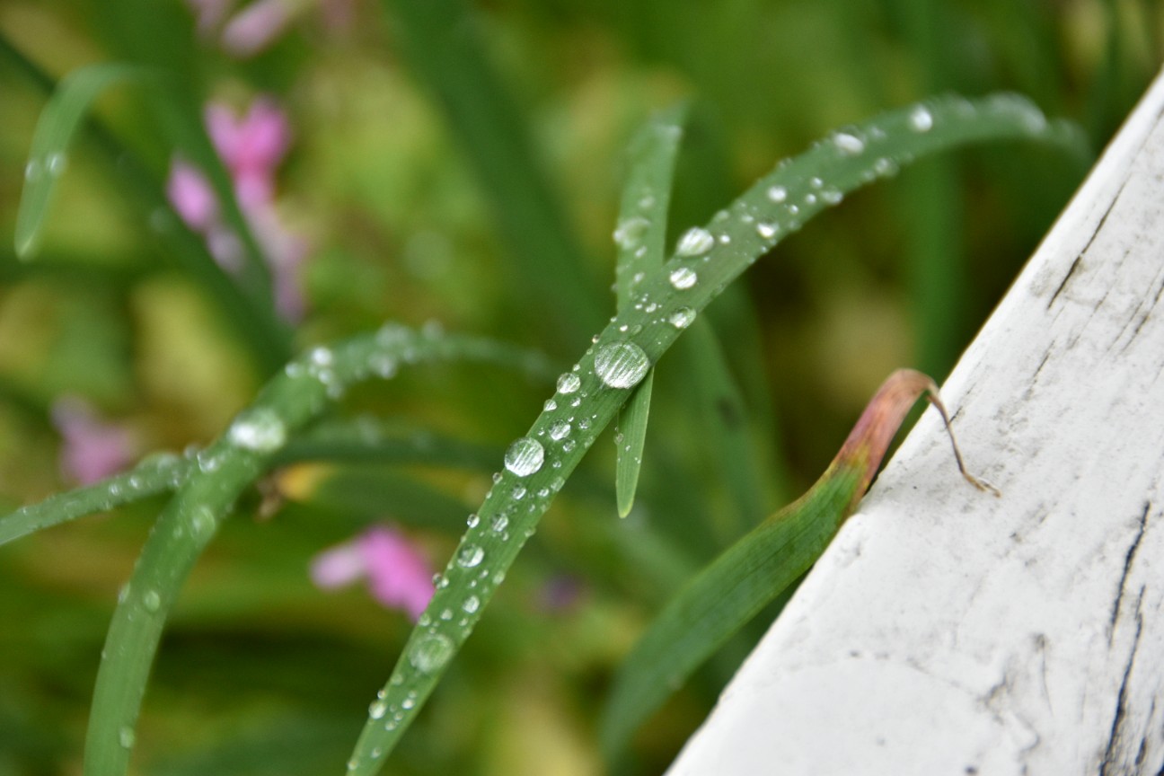 f:id:sazanami0:20190708021756j:image f:id:sazanami0:20190708021756j:image