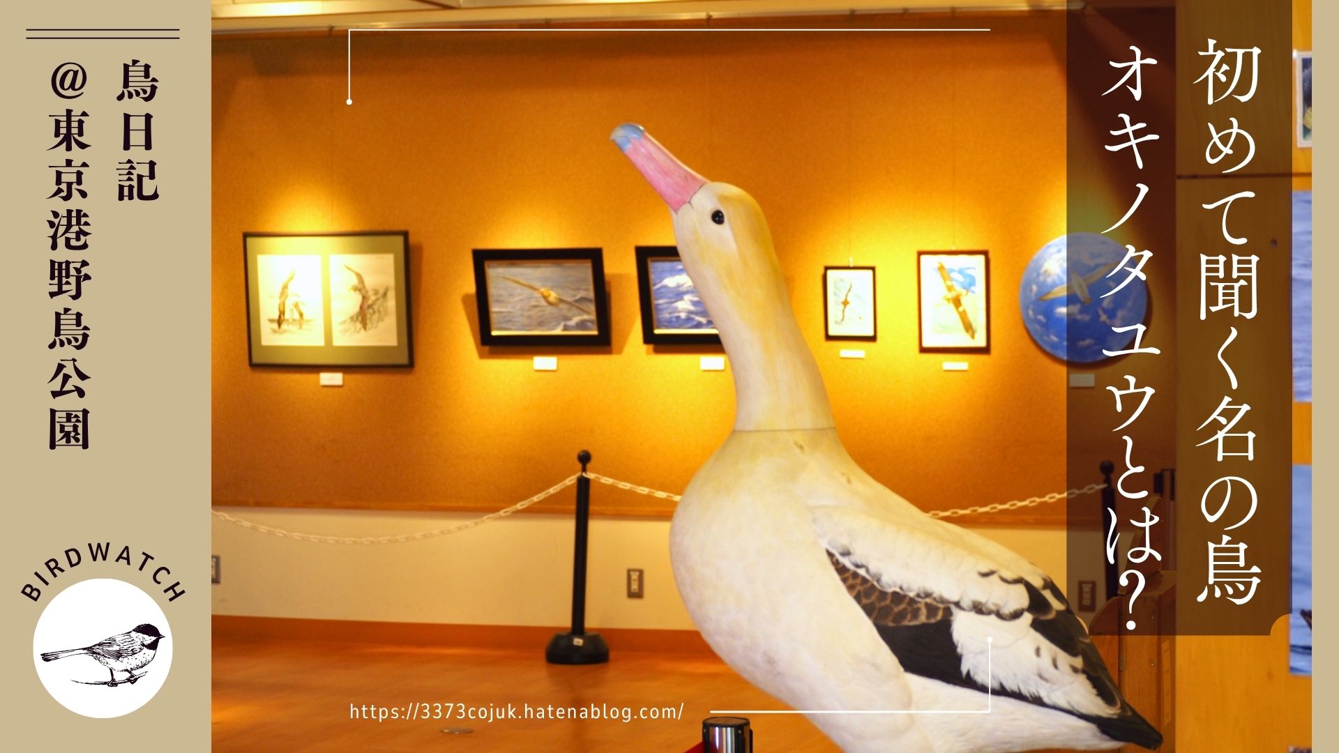 初めて聞く名前の鳥オキノタユウとは？東京港野鳥公園を訪問 - 鳥と実