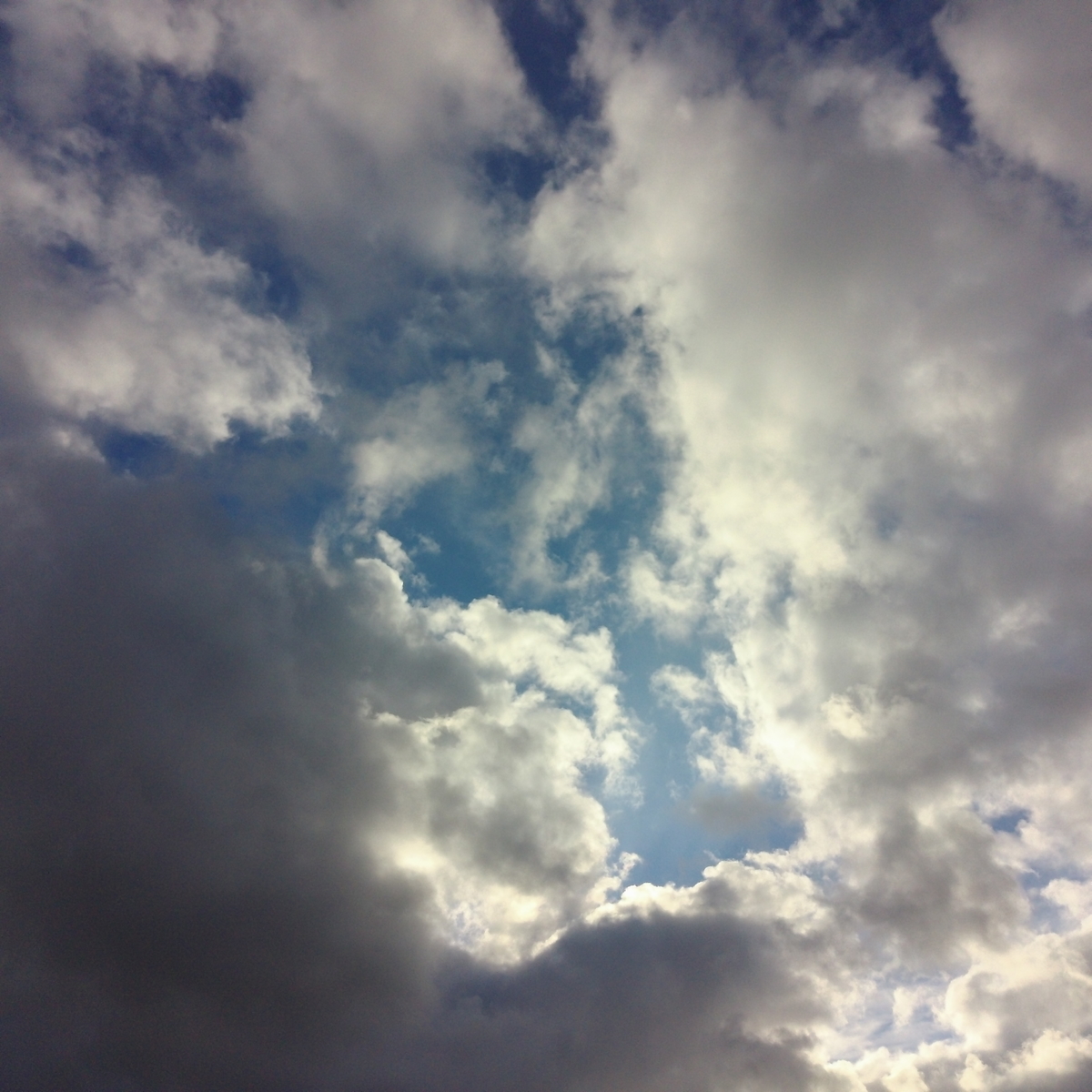 f:id:sazanamis:20201030182716j:plain