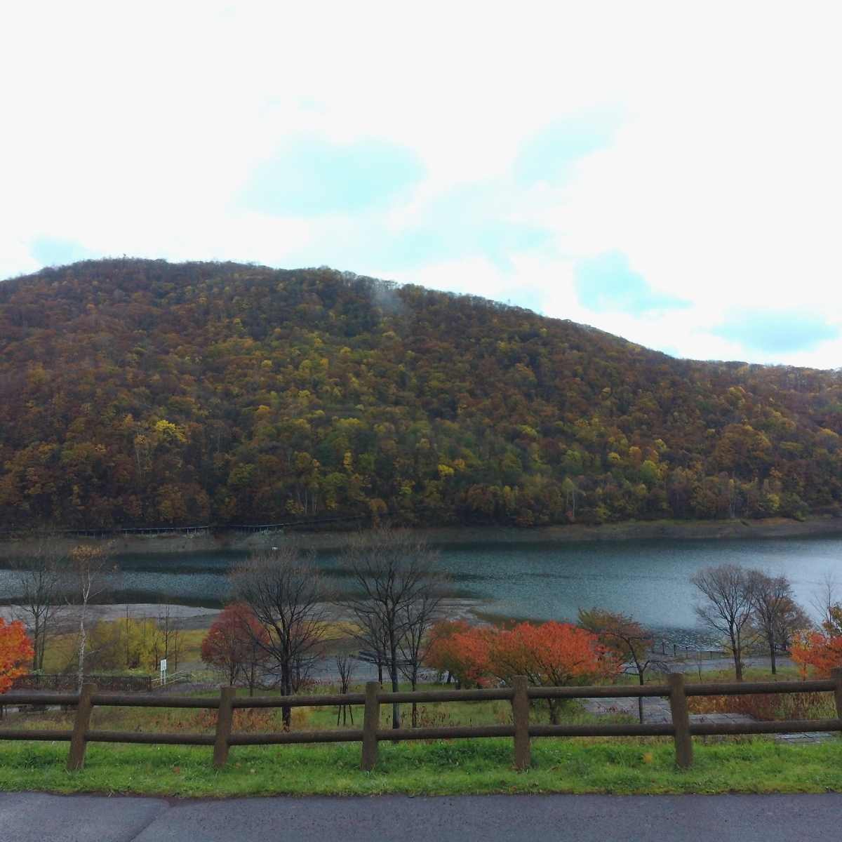 f:id:sazanamis:20201030183638j:plain