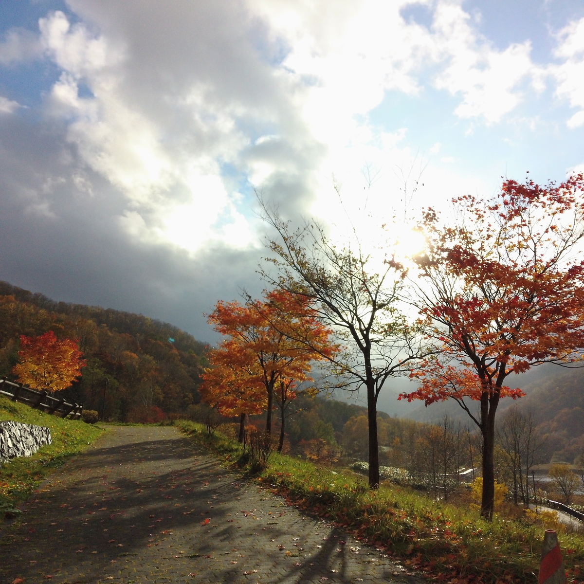f:id:sazanamis:20201030183752j:plain
