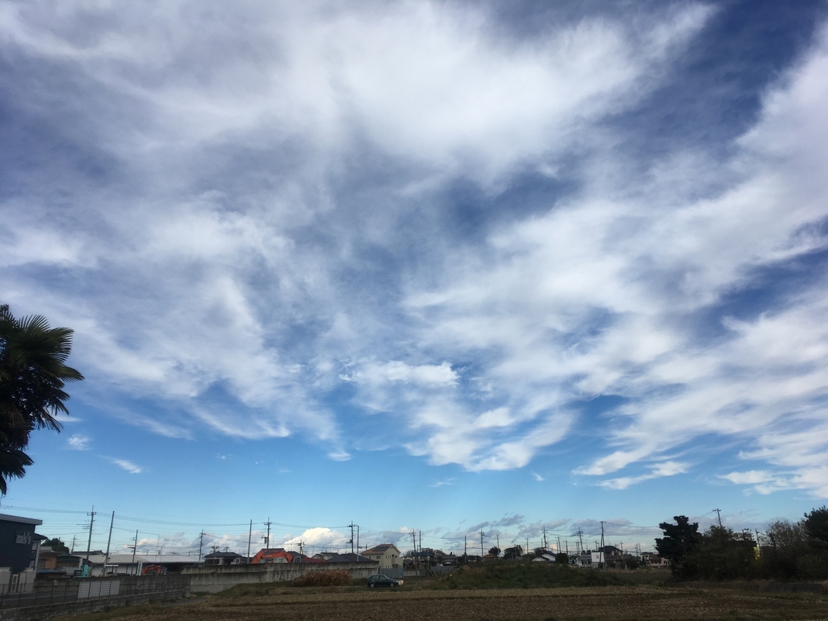 f:id:sazankakun:20191020235654j:plain