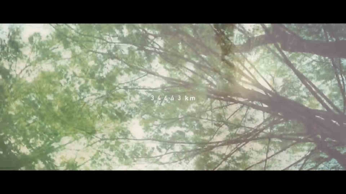 f:id:sazapin:20190531004131j:plain