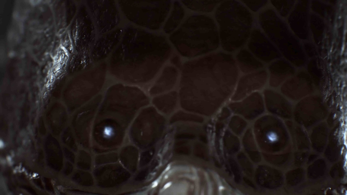 f:id:sazapin:20200508181917j:plain f:id:sazapin:20200508181917j:plain