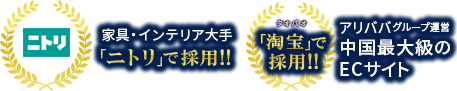 写真を撮って写真を検索