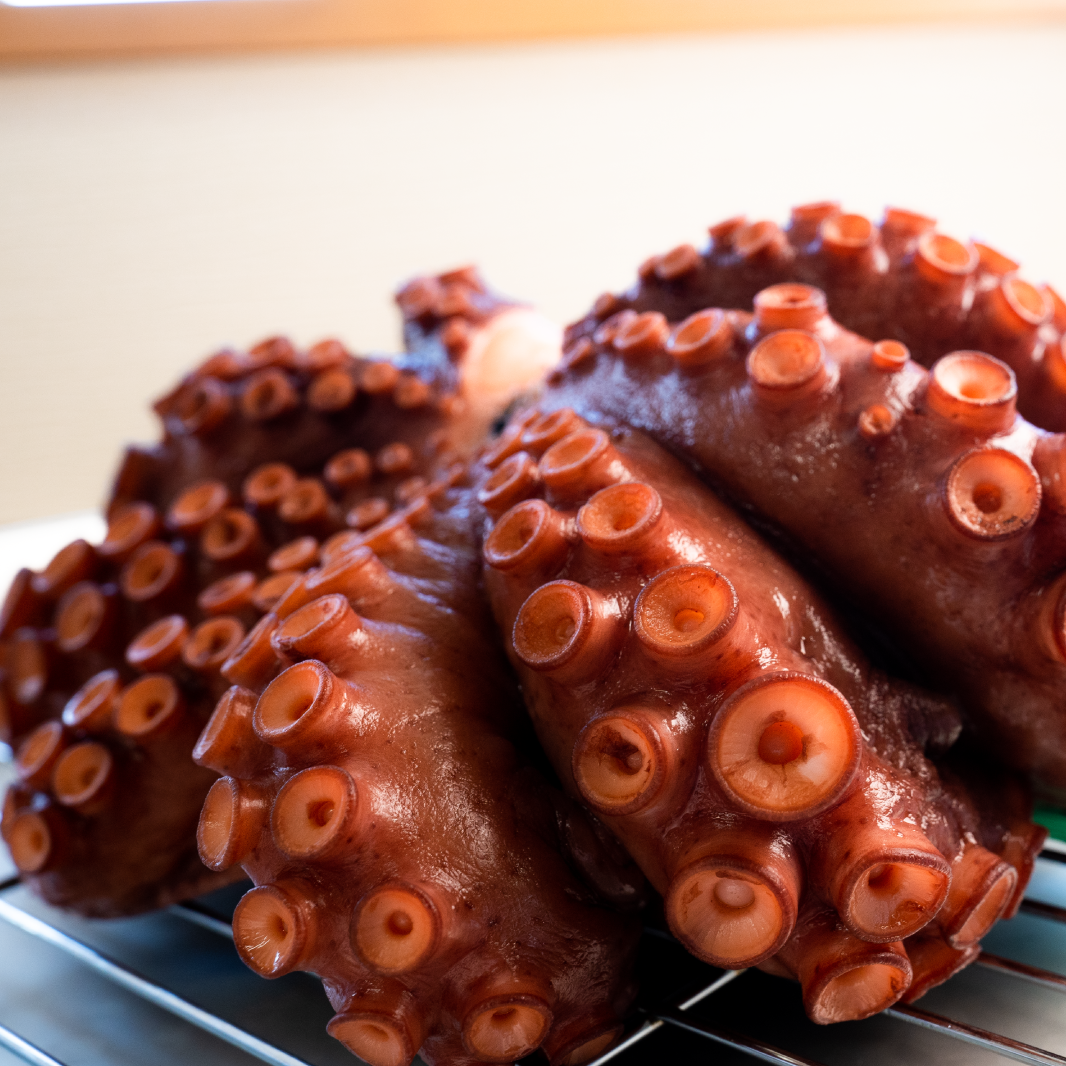 西の明石 東の志津川」アワビを食べて育つ絶品タコ - SBIふるさとだ