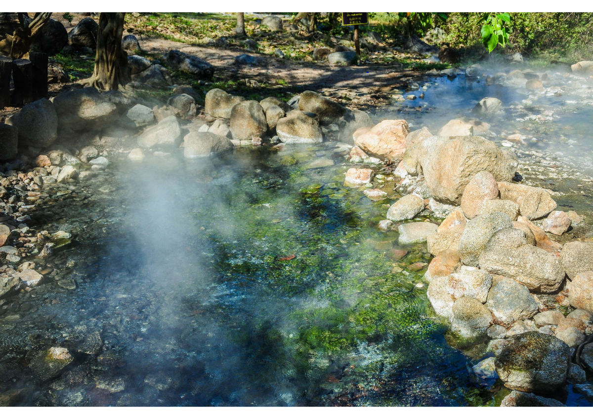 別府から湯布院へ、日本一の温泉県「大分」 - SBIふるさとだより |あなたと地域をつなぎ、地域活性化を応援するメディア
