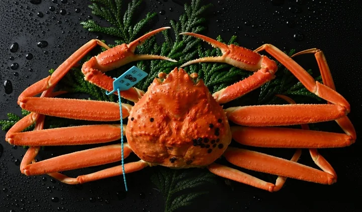 能登の冬ごちそう旅】札付きずわい蟹を“丸ごと2杯”で——休暇村 能登