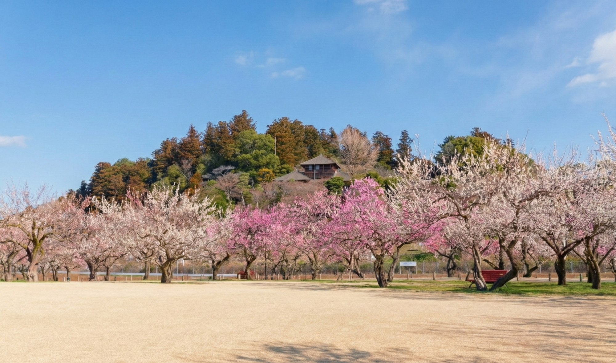 水戸偕楽園の好文亭と紅白の梅が咲く庭園風景