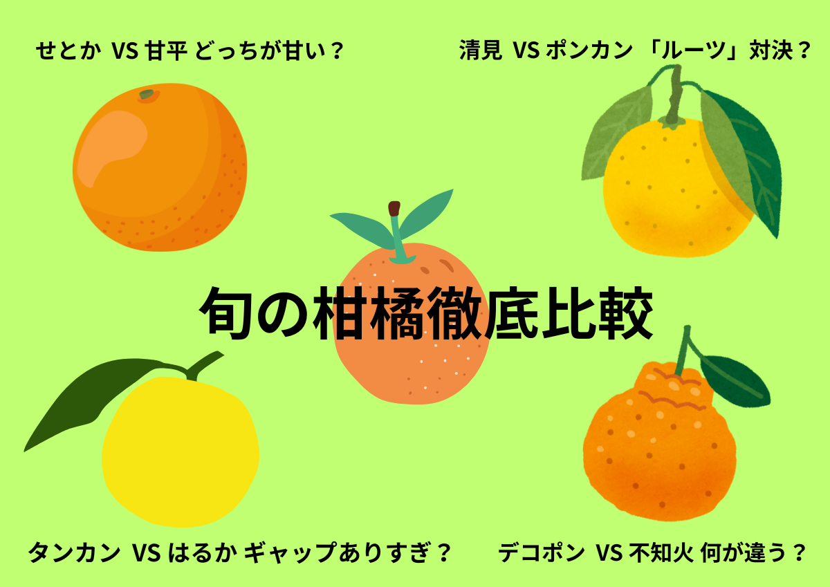 20260203170317.png