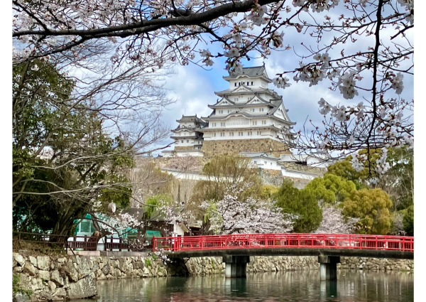 2026年版 弘前城から熊本城まで全国10箇所の桜の見頃・満開予想をまとめたカレンダー画像