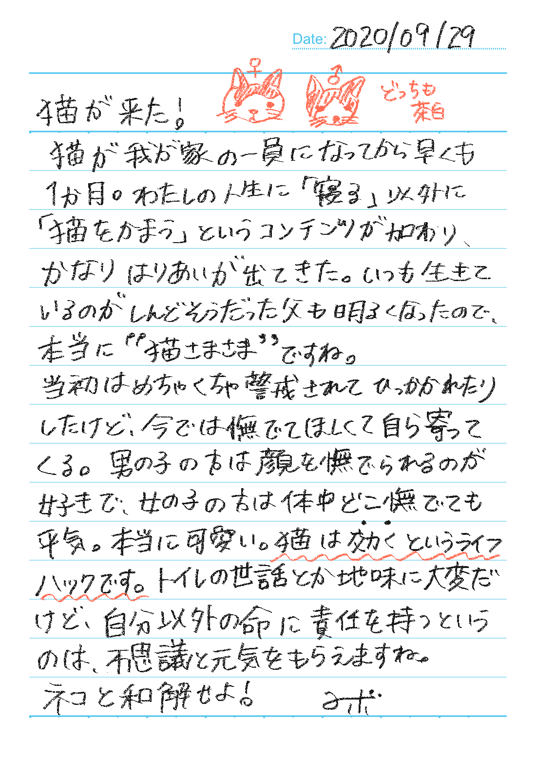 f:id:sbin4649:20200929231758j:plain