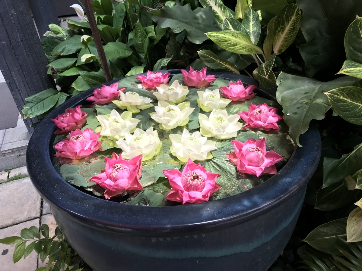 f:id:sbkklife:20190819140145j:plain f:id:sbkklife:20190819140145j:plain