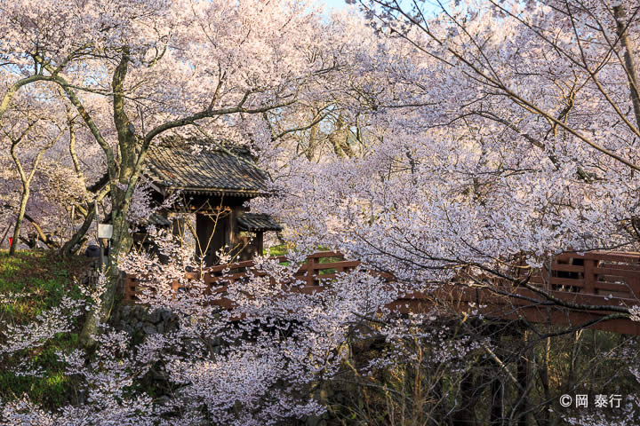 高遠城（長野県）