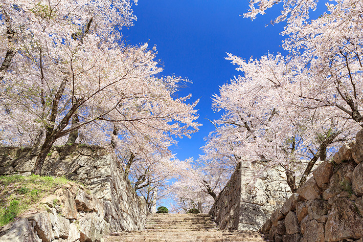 津山城（岡山県）