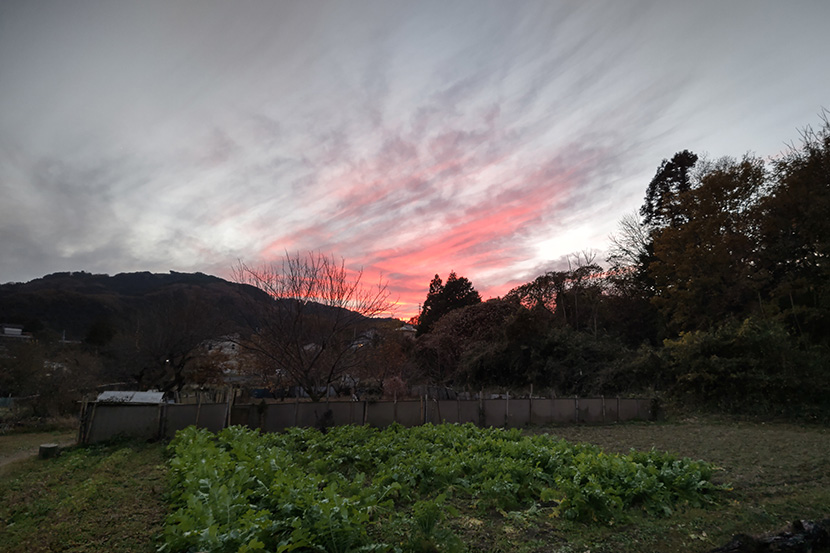 夕焼け