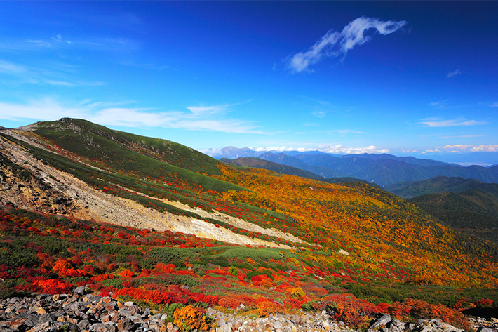 槍ヶ岳の紅葉