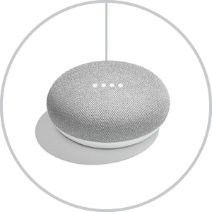 Google Home Mini