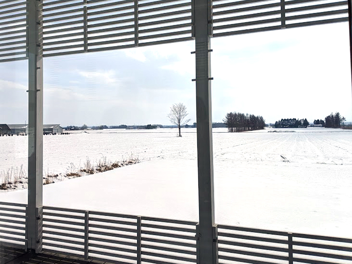 広大な牧場の景色