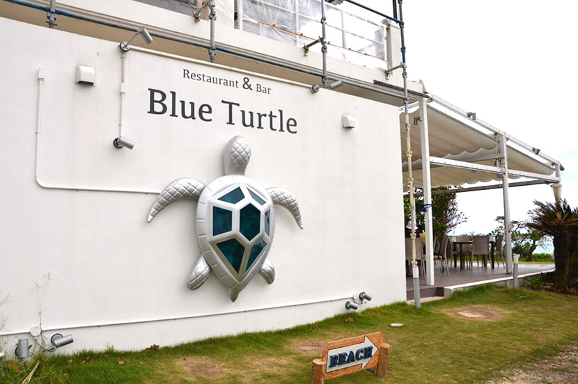 Blue Turtle