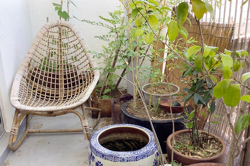 「通いやすさ」から「第三空間」へ。社会デザイン研究者の三浦展さんに聞く“withコロナ”時代の暮らしと住まい