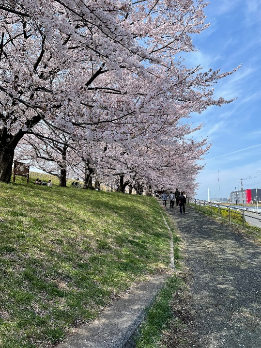 Cycling to see a new side of the city