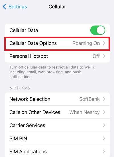 Live in Japan and Plan to Travel to the US? Enjoy Unlimited Data Usage with “America Flat-rate”