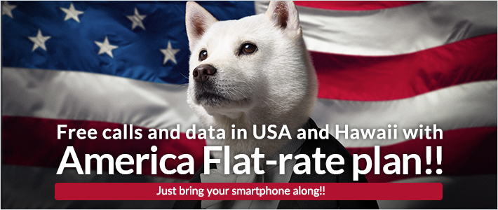 America Flat-rate
