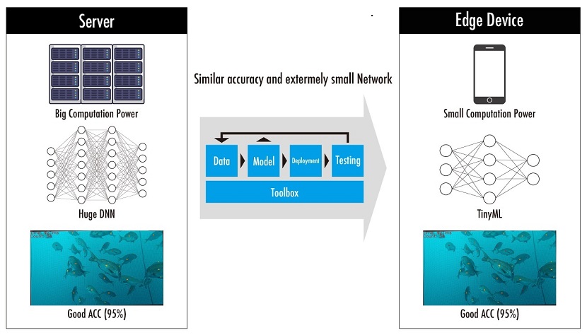 AI Meets Aquaculture: Fish Counting Application From SoftBank Corp. and Aizip Wins CES® 2025 Innovation Award